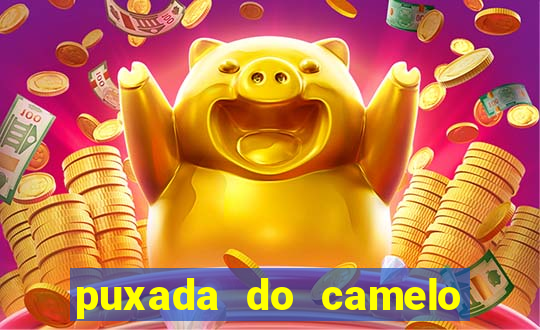 puxada do camelo no jogo do bicho